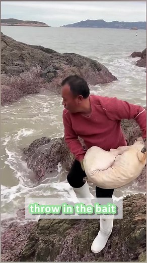 Unique Fishing Technique Compilation