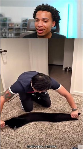 cats love this strech exercise