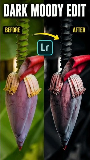 "Dark & Moody Editing Magic! #colorgrading #lightroommobile ✨ | Lightroom Transformation