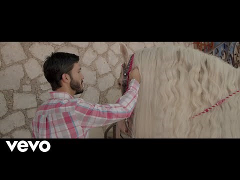 Joan Sebastian - La Compañera Que Elegí