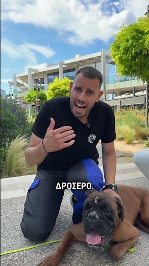 3 σημάδια που δείχνουν ότι ο σκύλος σας δεν αντέχει άλλο τη ζέστη. #προβληματα #εκπαιδευση_σκυλων