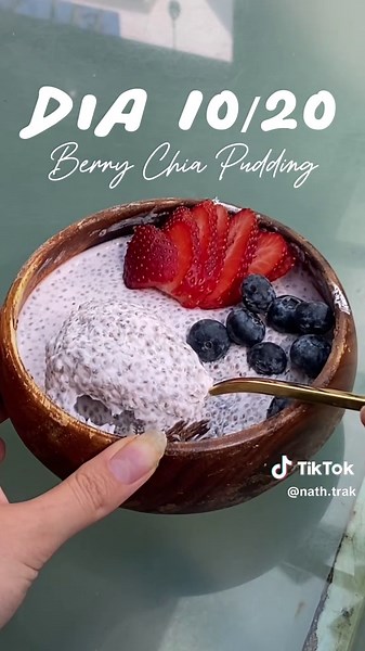 Chia pudding con 27g de proteina y 2 ingredientes? sii😍 #recetassaludables #desayunosaludable #desayunofit #recetasfit #desayunoproteico