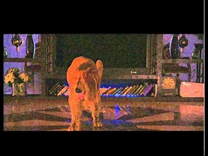 Entertainment Teaser 1