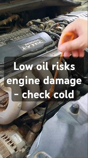 Check your engine oil level via the dipstick