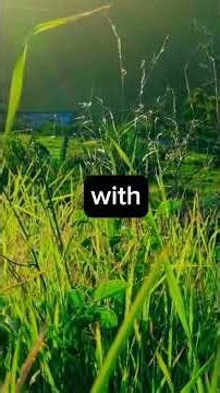 Senior Aging Gracefully & Wisdom After 60