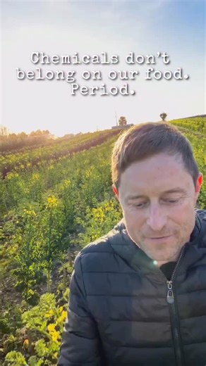 I have been pulled up many times for the use of the word “chemicals” and people rightly point out that everything is made of “chemicals”. In fact, I have spent a good portion of my life studying chemicals, having a Ph.D. in organic chemistry. In another twist I left this life to pursue a belief that chemicals do not belong in our food system by becoming an organic farmer. When I speak about chemicals, I mean synthetic pesticides, herbicides, and fungicides. My purpose in this is not to alarm, an