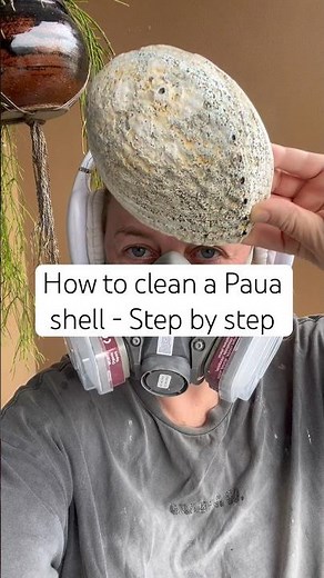 How to clean a Paua shell 🐚