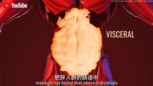 【油管搬运‖隐形推手：揭秘皮质醇如何锁住你的脂肪】