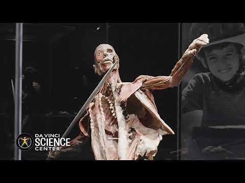 BODY WORLDS RX at Da Vinci Science Center