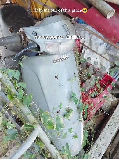 Dio 50cc Motorcycle: Exploring 2 Stroke Performance