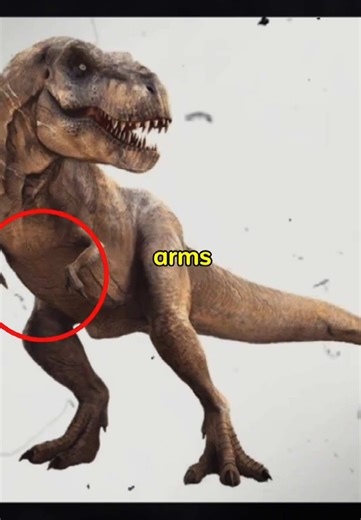 Why Did T-Rex Have Small Arms? 🤔 #dinosaur #prehistoric #trex | dinosaurs