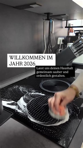 Maria Lust | Haushalts & Ordnungs Expertin | Putztipps | Bist du bei der Aufräumchallenge dabei? Klicke mal in dem Reel auf den Allzweckreiniger. Wie cool ist diese Funktion bitte? | Instagram