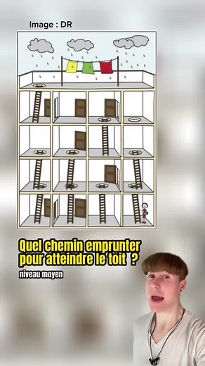 Logic Test: Choose the Right Path to the Roof