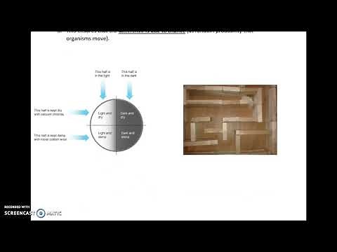 AQA A LEVEL BIOLOGY REQUIRED PRACTICAL 10: ANIMAL MOVEMENT