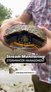 The presence of algae on this turtle’s shell is a clear indicator of poor water quality in a local waterway. 🐢 This is important information we gathered during a recent stream monitoring session. Our Stormwater Management team closely monitors water conditions to assess environmental health and develop strategies for improvement. By understanding the challenges our streams face, we can implement effective solutions to protect our natural resources (and our turtle friends). 💧 | Johnson County, 