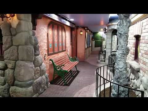 Disneyland in My Basement!