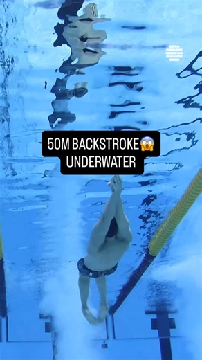 POV: you are following underwater the men’s 50m backstroke at World Championships 🤩 #Swimming | World Aquatics