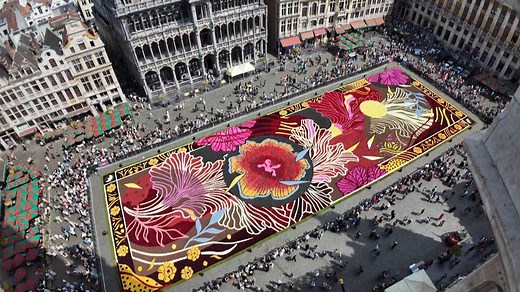 Le street art rencontre la tradition pour former un tapis de fleurs à Bruxelles