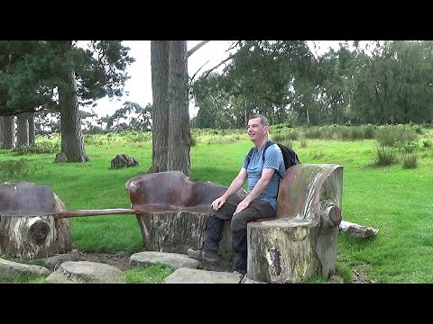 134: Ambergate, Alderwasley and Shining Cliff Woods (Amber Valley 2020)