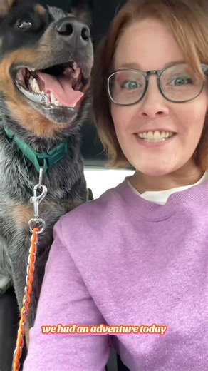 Please let me know what helped you and your girlie pups get through getting spayed
