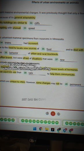 8.5 Listening IELTS: Bí quyết nghe hiệu quả