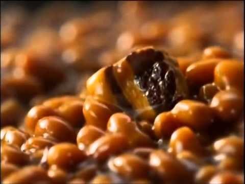 Bush's Baked Beans - Duke the Dog