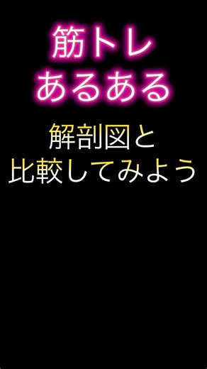 膝下の脛骨と膝上の大腿骨がズレて見えるのは私だけ？筋トレやってる人に多いのは何故？コレを続けていると膝下短くなるよね