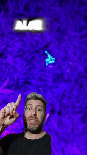 excelente tutorial!👏👏👏👏👏