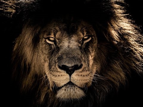 SILA DUCHA ⚡ Pop Electro Dance Anthem | Motivačná Hudba o Sile, Hrdosti a Víťazstve