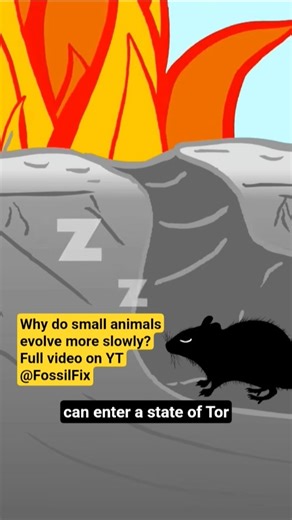 Why do small animals evolve slowly? #science #nature #animals #wildlife #biology #animation #fyp