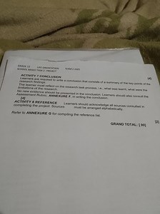 Life Orientation: School-Based Task 2 – Project (Conclusion and... | Filo