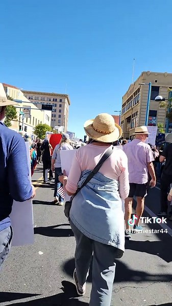 Latest News from Albuquerque: Insights and Updates