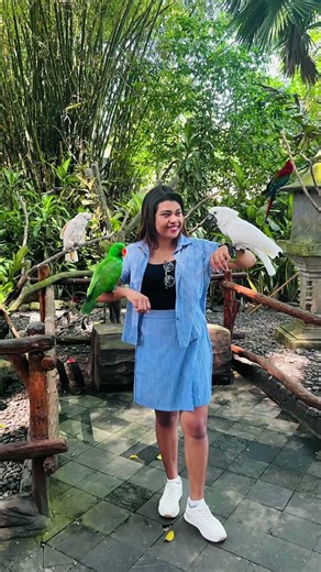 Berbagai macam binatang yang ada di kebun binatang Safari