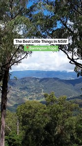 Need to unwind in nature? 🍃 Nothing tops Barrington Tops in NSW! Beyond The Grey OZ Home to one of the country’s largest areas of temperate rainforest, enjoy its many bushwalking trails and scenic lookouts. #NSW #NewSouthWales #Camping #CampingNSW #CampingBarringtonTops #BestCampingSpots #CampingAreas #IdeasForCamping #NationalParkCamping | Caravan & Camping NSW