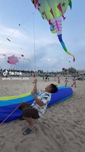 Kite Flying Videos: Tips & Tricks for Beginners