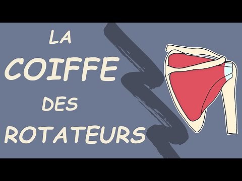 ANATOMIE DE LA COIFFE DES ROTATEURS : Tout Comprendre sur ces 4 Muscles Clés de l’Épaule