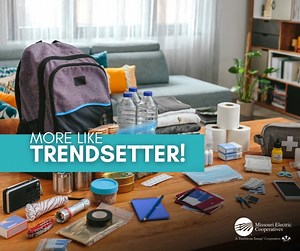 Preparedness is a trend that should never go out of style! September is National Preparedness Month, so take a few minutes to assemble an emergency supply kit. You can even get the kids involved for a fun weekend activity. via NRECA #PreparednessMonth | Missouri Electric Cooperatives