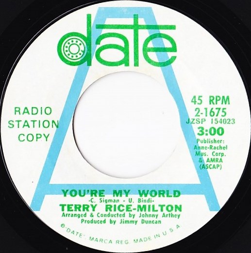 Terry Rice-Milton - You're My World