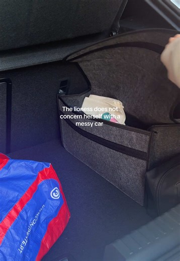 Tidy home, tidy car - oh and perfect budget friendly gift for us a type A personalities (thank me later)