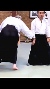 Aikido Masters Techniques 😲 | Karate Science