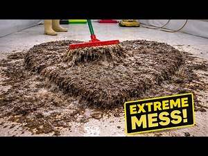 26 minutes of asmr and crazy carpet cleaning 😱 | The dirtiest carpet ever!