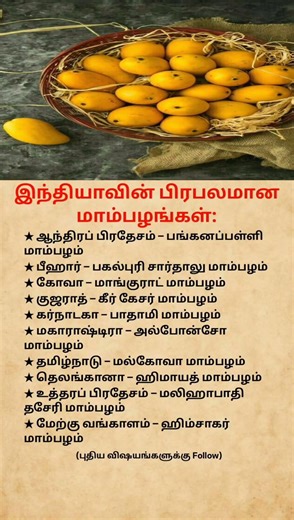 India’s Most Famous Mangoes 🥭 You Must Try! | Best Varieties by State #shorts