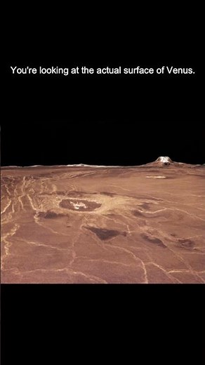 Surface View Of Venus