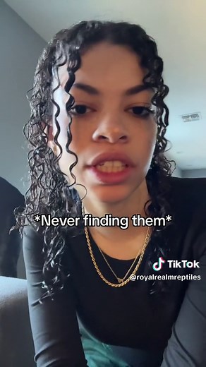 Reptile Enclosure Setup for Boas and Pythons