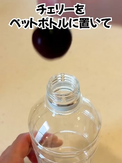 キウイを皮ごと食べる裏ワザ（フルーツの簡単ライフハック）