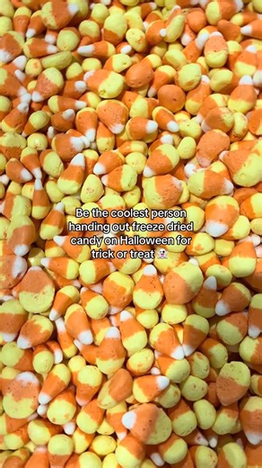 Perfect for trick or treat candy gift bags 🎃 #freezedriedcandycorn #freezedriedcandy #trickortreats #halloween #candyco | G-Box
