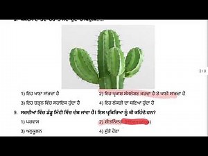 CEP CLASS 6 SCIENCE ASSIGNMENT -4 PUNJABI MEDIUM FULLY SOLVED