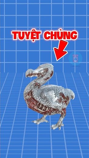 SHOCKING! THE REAL REASON WHY DODONES ARE EXTINCT HAS BEEN REVEALED | 😨 #fact #amazingfacts #anim...