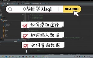0基础入门SQL第二天-comment&insert&select学习
