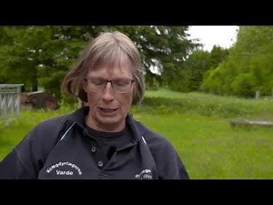 Tilførsel af ormekur til lam v. dyrlæge Randi Worm